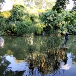 Margitszigeti Japánkert Budapest - Egyéb