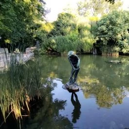 Margitszigeti Japánkert Budapest - Egyéb