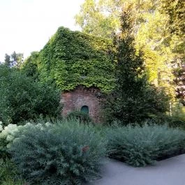 Margitszigeti Japánkert Budapest - Egyéb