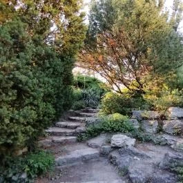 Margitszigeti Japánkert Budapest - Egyéb