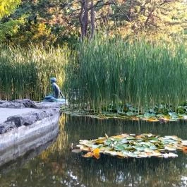 Margitszigeti Japánkert Budapest - Egyéb