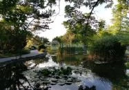 Margitszigeti Japánkert Budapest