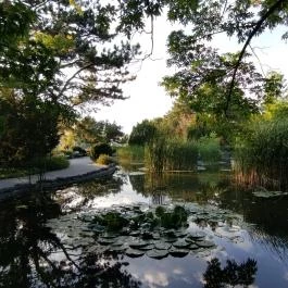 Margitszigeti Japánkert Budapest - Egyéb