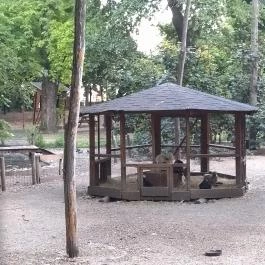 Margitszigeti Vadaspark Budapest - Egyéb