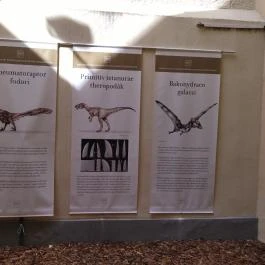  Margitszigeti Víztorony Budapest - Egyéb