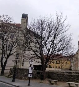 Mária Magdolna Torony