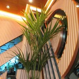 Marty's Kitchen & Bar Budapest - Belső