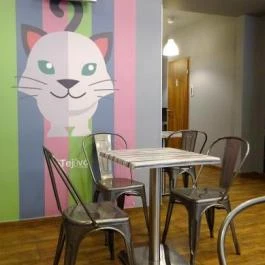 A Másik Tejivó, Budapest - Belső