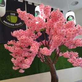 Matcha Tsuki, Budapest - Egyéb