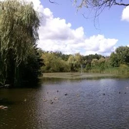 Mátra Tábor Mátrafüred - Környék