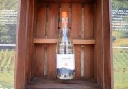 Mátrai Borbolt & Gastro Mátrafüred