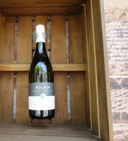 Mátrai Borbolt & Gastro