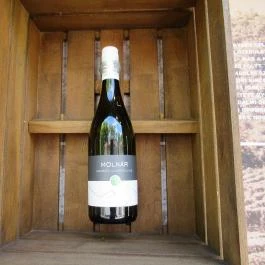 Mátrai Borbolt & Gastro Mátrafüred - Egyéb