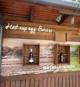Mátrai Borbolt & Gastro