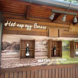 Mátrai Borbolt & Gastro Mátrafüred - Egyéb