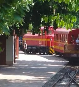 14. legjobb látnivaló: Mátravasút