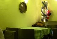 Maxi Faloda Budapest