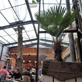 Mazel Tov Budapest - Belső