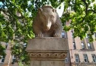 Medve szobor Budapest