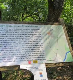 Megyer-hegyi Tengerszem Természetvédelmi Terület