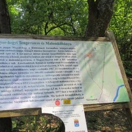 Megyer-hegyi Tengerszem Természetvédelmi Terület Sárospatak - Egyéb