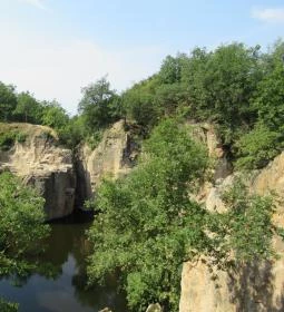 Megyer-hegyi Tengerszem Természetvédelmi Terület