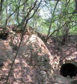 Megyer-hegyi Tengerszem Természetvédelmi Terület