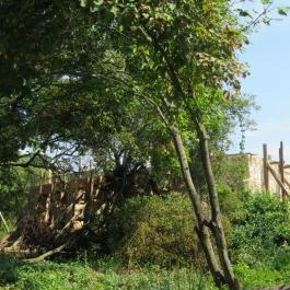 Megyer-hegyi Tengerszem Természetvédelmi Terület Sárospatak - Egyéb