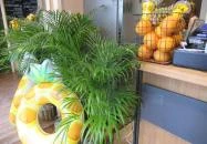 Mela - The Juice Bar Budapest