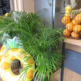 Mela - The Juice Bar, Budapest - Belső