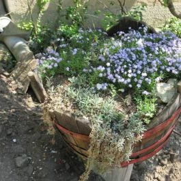 Mennyország Kerthelyiség, Hegymagas - Külső kép