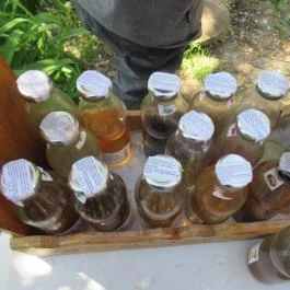 Mennyország Kerthelyiség, Hegymagas - Étel/ital