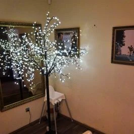 Menta Café & Lounge, Székesfehérvár - Belső