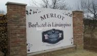 Merlot Látványpince Szendrőlád - Külső kép
