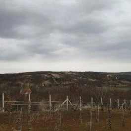 Merlot Látványpince Szendrőlád - Külső kép