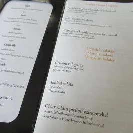 Mészáros Pub & Pizzéria Alcsútdoboz - Étlap/itallap