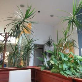 Metropol Étterem, Budapest - Belső