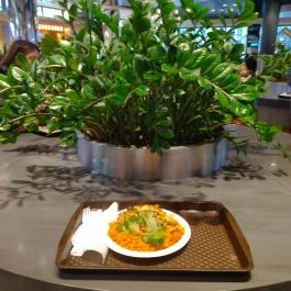 Mevlana Kebab - Allee Budapest - Étel/ital