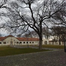 Mezőhegyesi Nemzeti Ménesbirtok Mezőhegyes - Egyéb