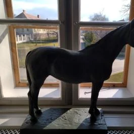 Mezőhegyesi Nemzeti Ménesbirtok Mezőhegyes - Egyéb