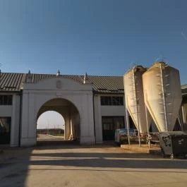 Mezőhegyesi Nemzeti Ménesbirtok Mezőhegyes - Egyéb