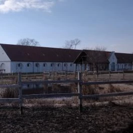 Mezőhegyesi Nemzeti Ménesbirtok Mezőhegyes - Egyéb
