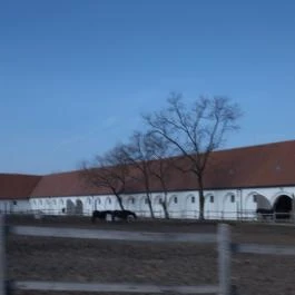 Mezőhegyesi Nemzeti Ménesbirtok Mezőhegyes - Egyéb