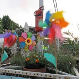 Miamor Budapest - Egyéb