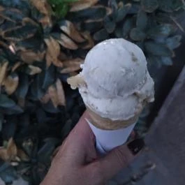 Mikrokosmos Fagyizó Budapest - Étel/ital