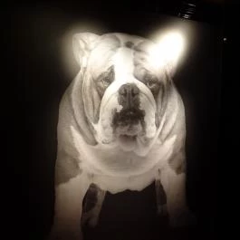 Mini Bar Budapest, Budapest - Egyéb