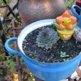 Mini Golf Pálya Büfé, Visegrád - Egyéb