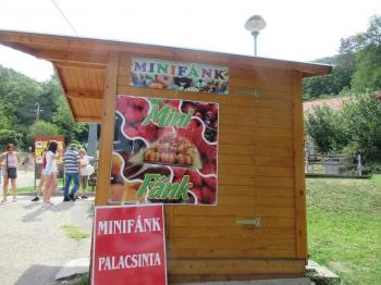 Minifánk Sátoraljaújhely