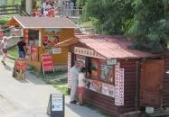 Minifánk Sátoraljaújhely