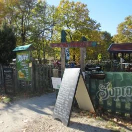 Minigolf Büfé Visegrád - Egyéb